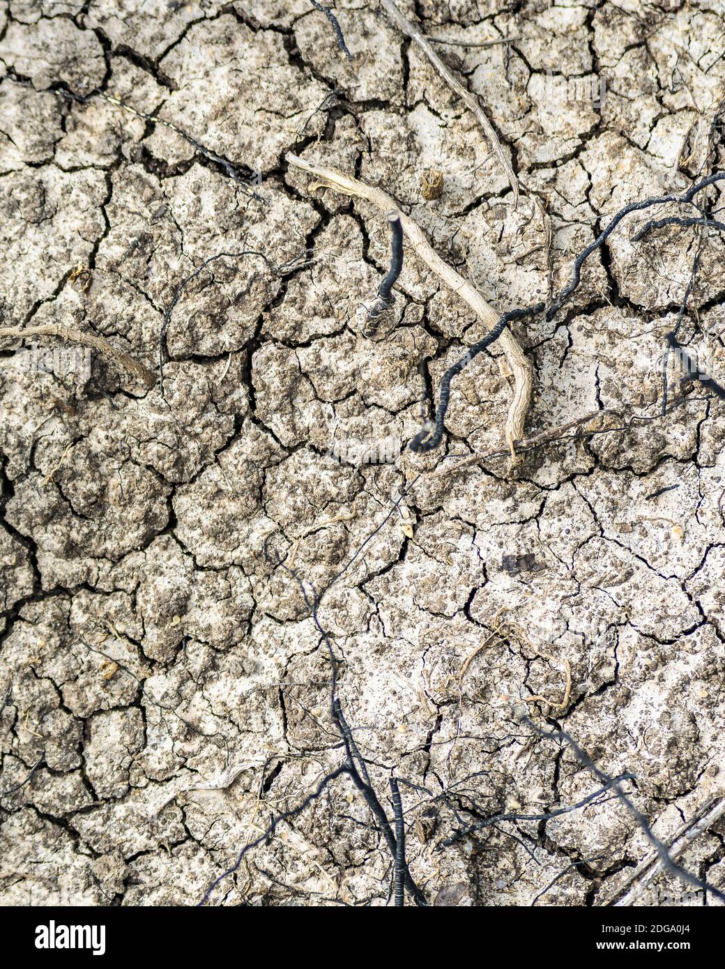 Texture du sol sec Banque D'Images