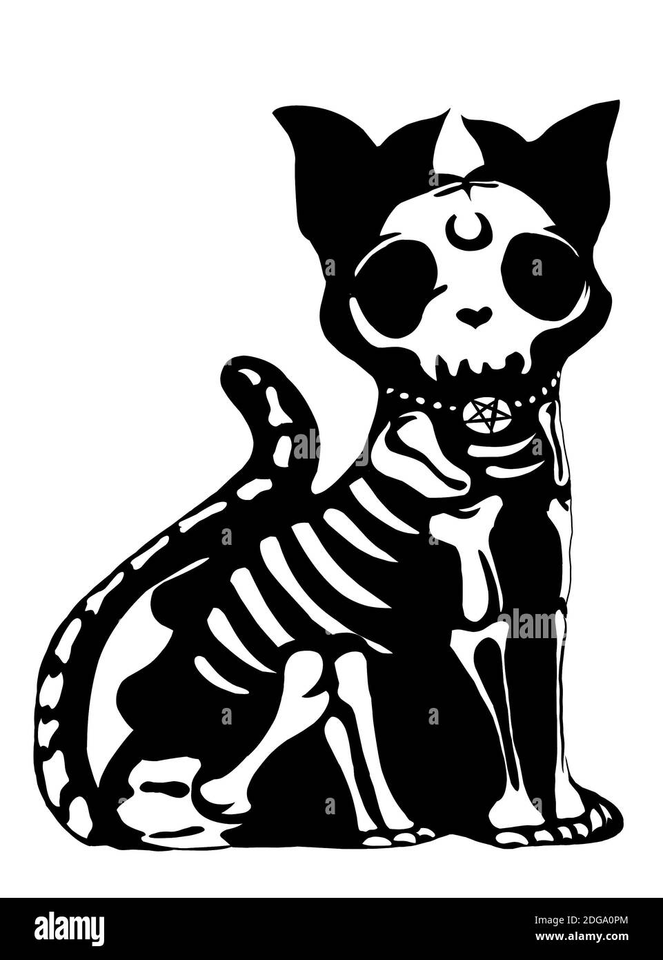 Squelette chat émail, noir et blanc OS chat Halloween émail, macabre effrayant halloween chat noir Banque D'Images