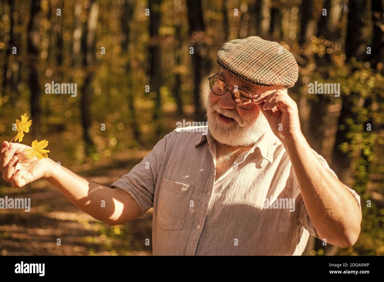 La vieillesse est la joie. Pensionné de vieillesse profiter de la nature d'automne. Le vieil homme recueille les feuilles jaunes. Personne âgée avec des cheveux gris. Retraite et retraite. Loisirs et style de vie. L'aventure vous attend. Banque D'Images