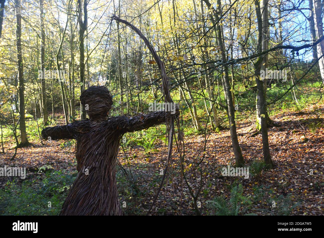 Willow Sculpture of Woman Archer 'Spirit of the Medieval Huntress' par Anna and the Willow, Skipton Woods, Skipton, North Yorkshire, Angleterre, Royaume-Uni. Banque D'Images