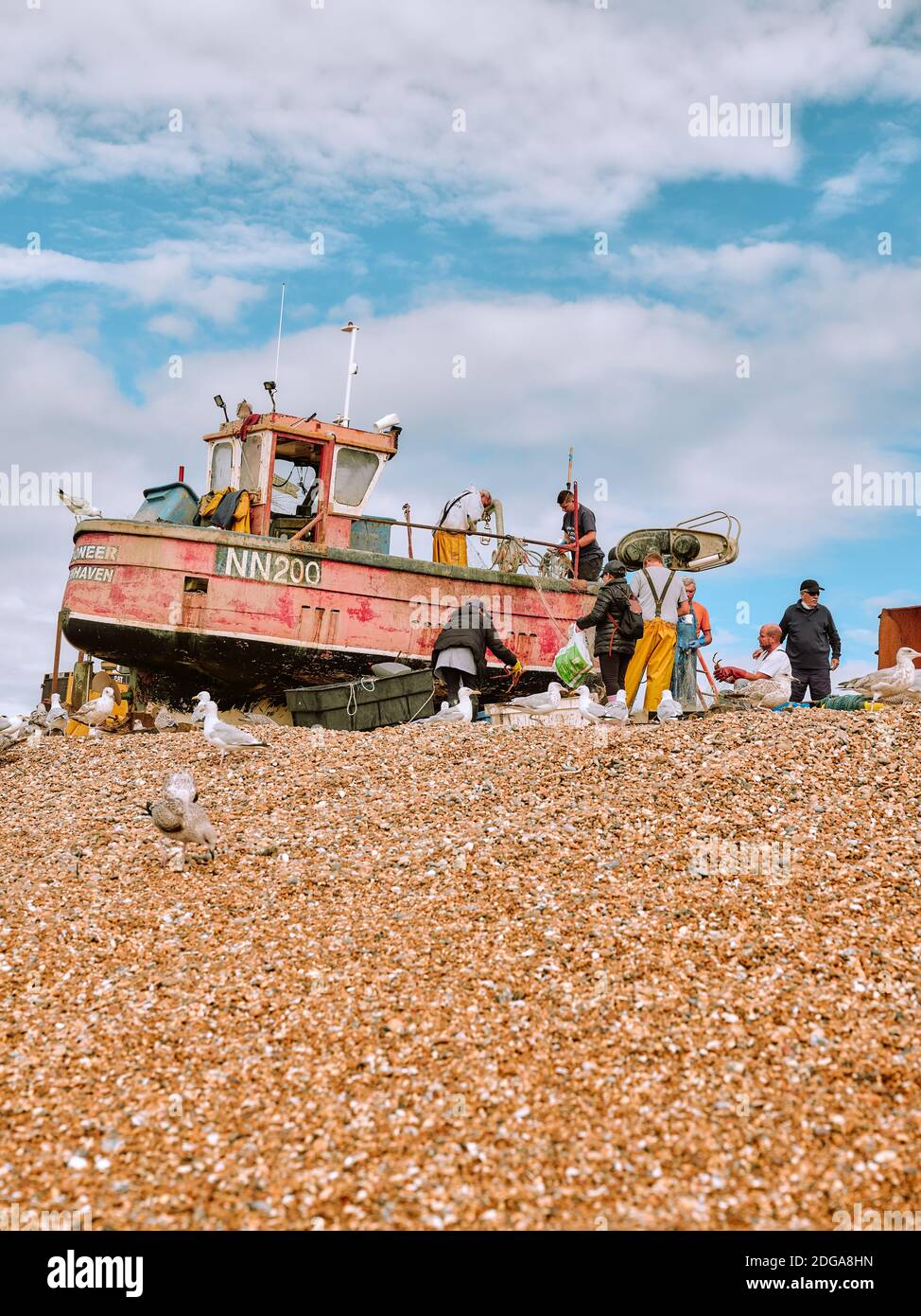 Hastings Land Based Fishing Fleet - les pêcheurs atterrissent leurs prises et leurs mouettes sur le Stade dans la vieille ville de Hastings, East Sussex Angleterre Banque D'Images