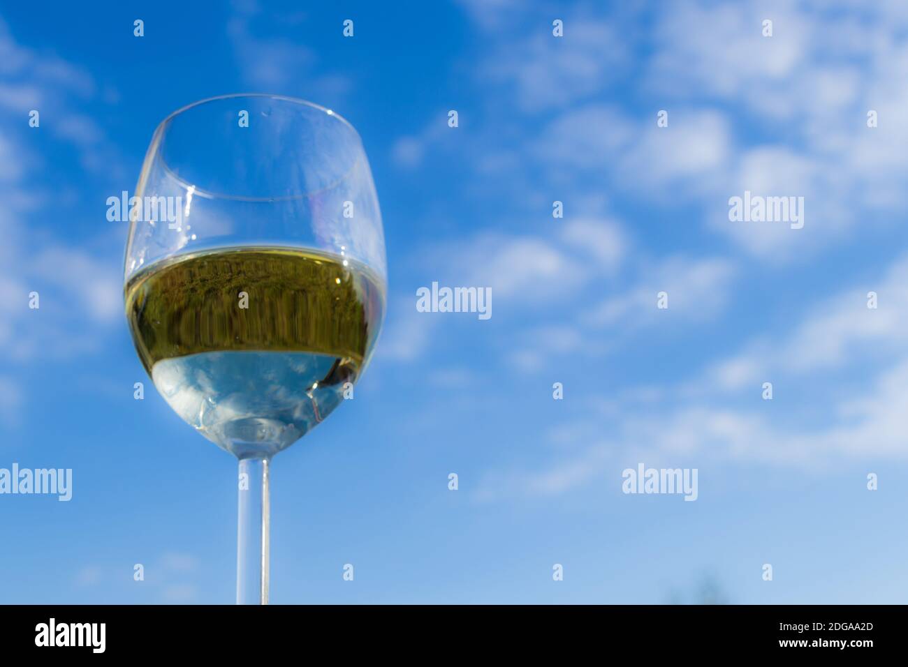 Vue en gros plan sur un verre avec vin blanc à l'avant d'un ciel bleu nuageux Banque D'Images