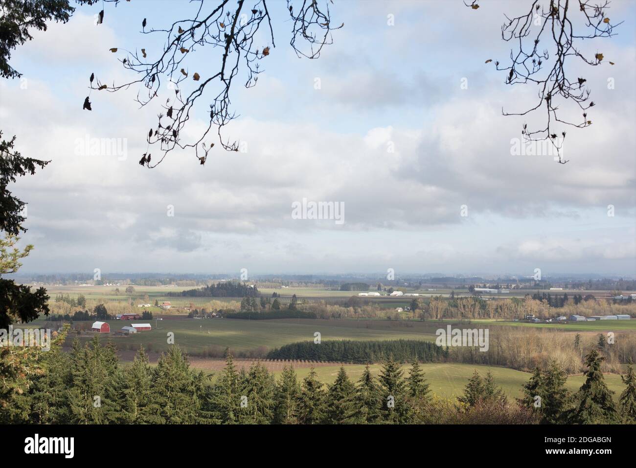 Vue sur la vallée de Willamette en Oregon, vue depuis l'abbaye de Mount Angel. Banque D'Images