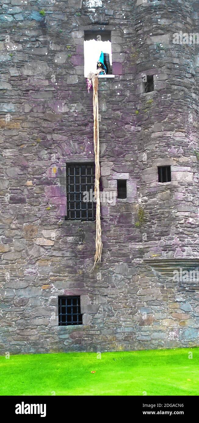 Une version moderne (2017) de Rapunzle (la jeune fille de la tour) exposée au château de MacLellan, Kirkcudbright, en Écosse. Raiponce est un conte de fées allemand enregistré par les Frères Grimm et publié pour la première fois en 1812 dans le cadre de contes pour enfants et ménages . Il est paru auparavant dans diverses versions, adaptations et traductions, dont Petrosinella de Giambattista Basile (italien 1634); Persinette de Charlotte-Rose de Caumont de la Force (1698), Das Mährchen von der Padde de de Johann Gustav Büsching (1812); et Raiponce de Friedrich Schulz (1790). Raiponce est une salade verte. Banque D'Images