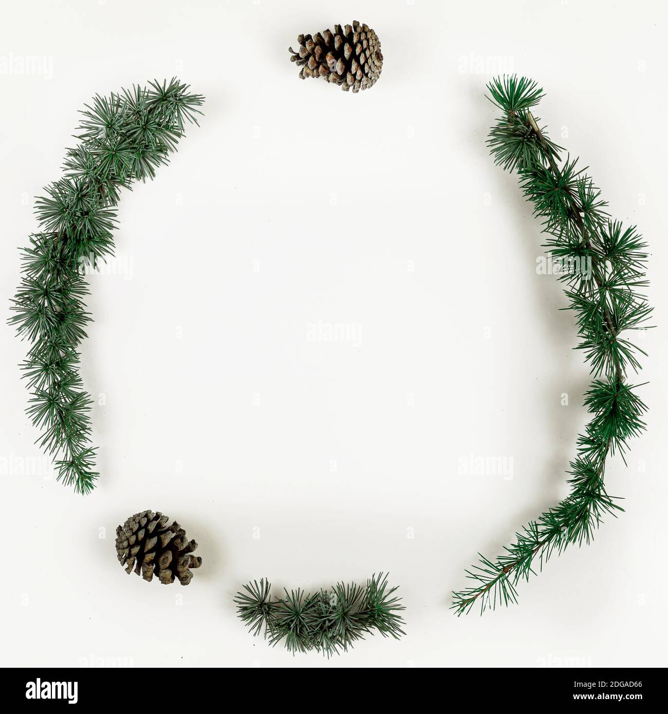 Décor minimaliste avec branches d'arbre de Noël et cônes de pin. Vue de dessus. Banque D'Images