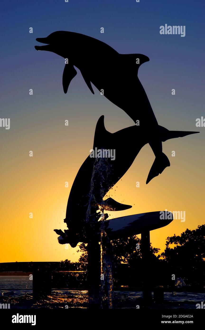Silhouette de la statue des dauphins au Bay Front Park Sarasota Florida Banque D'Images