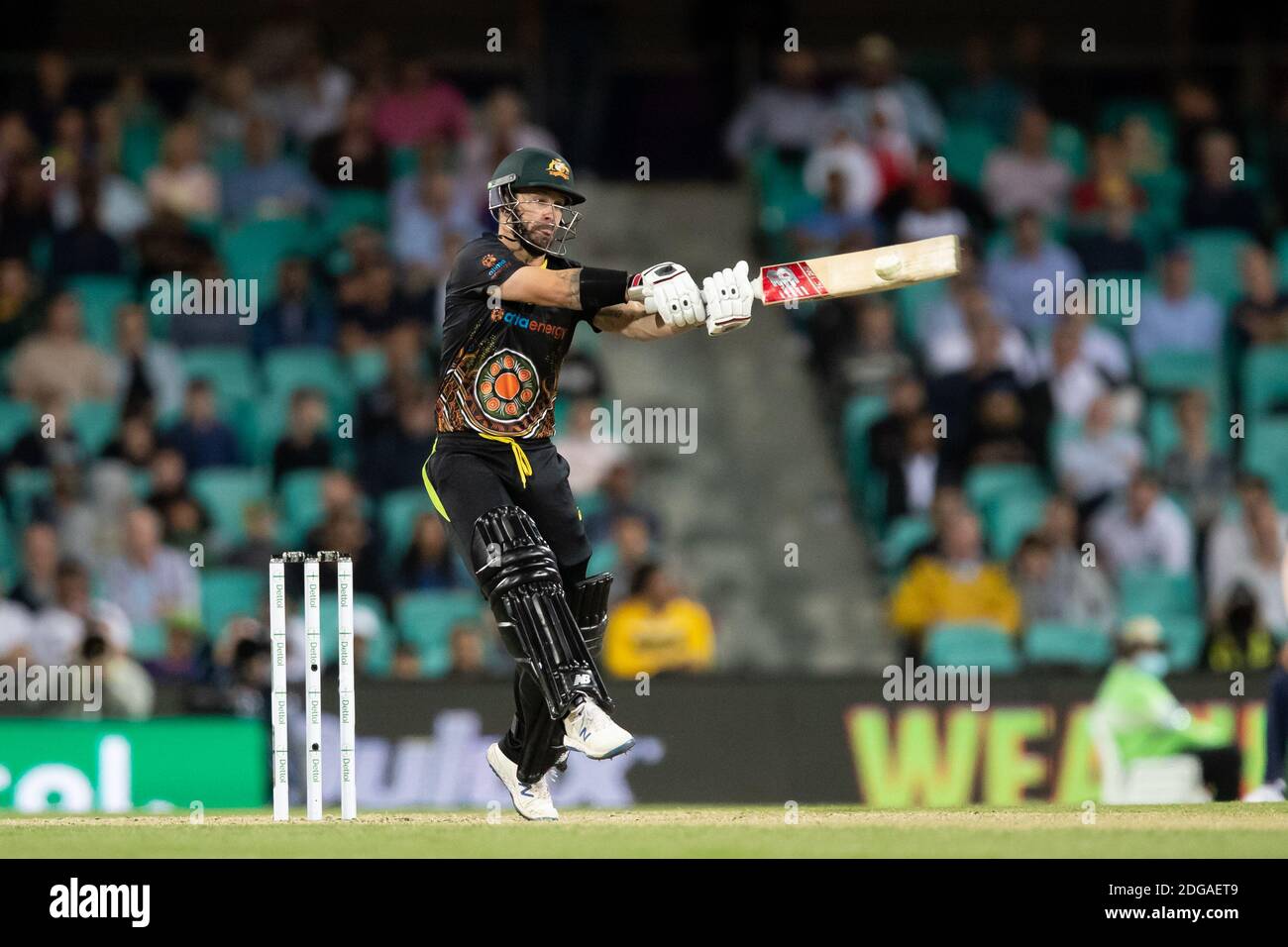 Sydney, Australie. 8 décembre 2020. Glenn Maxwell d'Australie joue un tir lors du 3e match de la série Dettol ODI T20I entre l'Australie et l'Inde au Sydney Cricket Ground, Sydney, Australie, le 8 décembre 2020. Photo de Peter Dovgan. Utilisation éditoriale uniquement, licence requise pour une utilisation commerciale. Aucune utilisation dans les Paris, les jeux ou les publications d'un seul club/ligue/joueur. Crédit : UK Sports pics Ltd/Alay Live News Banque D'Images