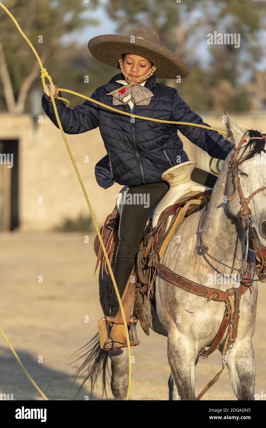 Un jeune Charro mexicain (Cowboy) arrondit un troupeau de Chevaux qui traversent le champ sur UN ranch mexicain à Lever du soleil Banque D'Images