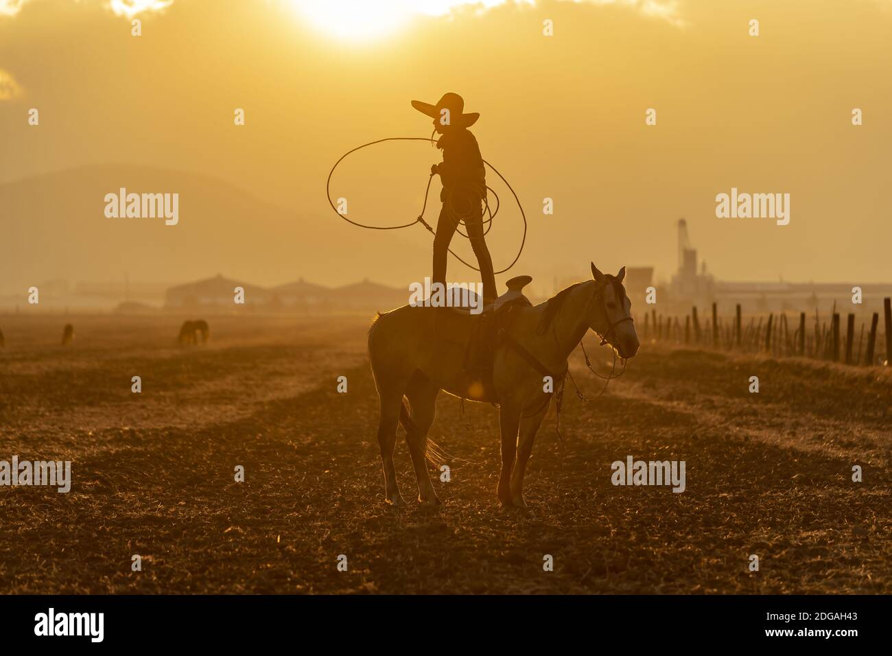 Un jeune Charro mexicain (Cowboy) arrondit un troupeau de Chevaux qui traversent le champ sur UN ranch mexicain à Lever du soleil Banque D'Images