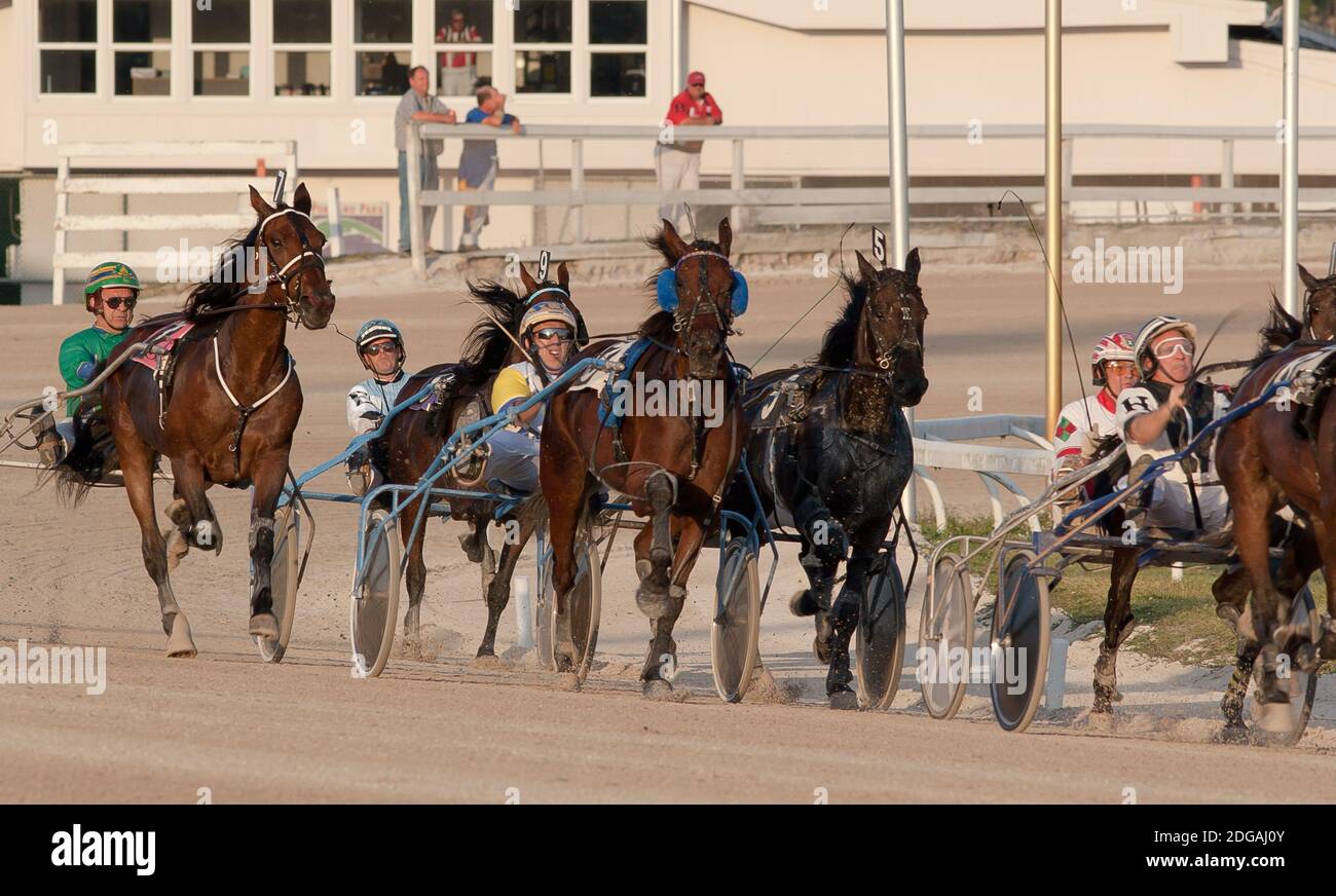 Courses d'attelages à Pompano Park Banque D'Images