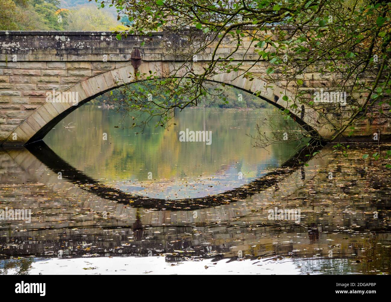 Pont reflété dans les eaux calmes de la rivière Derwent Près de Froggatt dans le parc national de Peak District Derbyshire England ROYAUME-UNI Banque D'Images