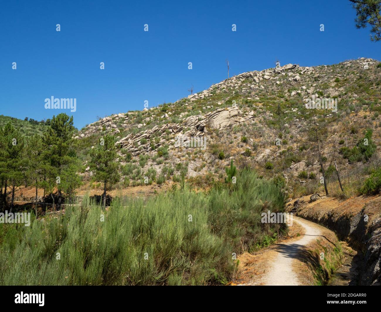 PR10 SEI marche à côté d'un canal d'eau séparant la forêt de pins en dessous et la montagne rocheuse au-dessus de Serra da Estrela, Portugal Banque D'Images