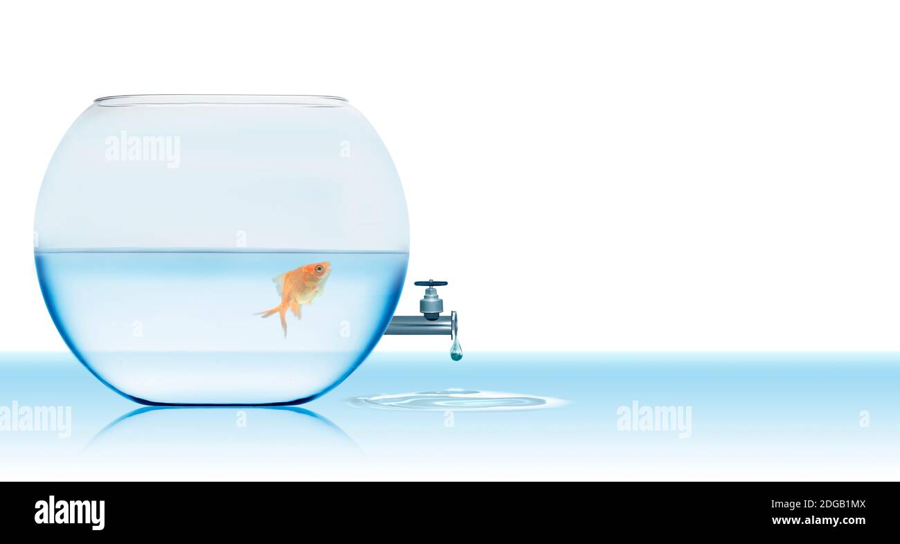 Fuite d'eau hors du bol à poisson Banque D'Images Fuite d'eau hors du bol à poisson Banque D'Images