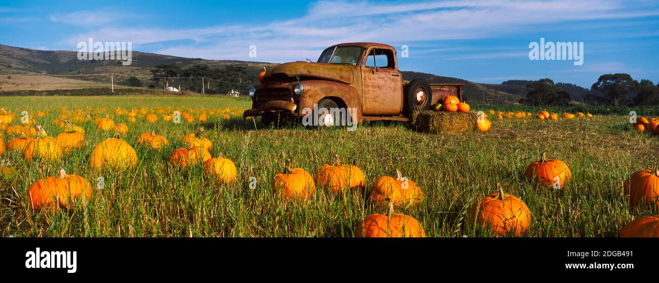 Vieux camion Rusty dans Pumpkin Patch, Half Moon Bay, Californie, États-Unis Banque D'Images