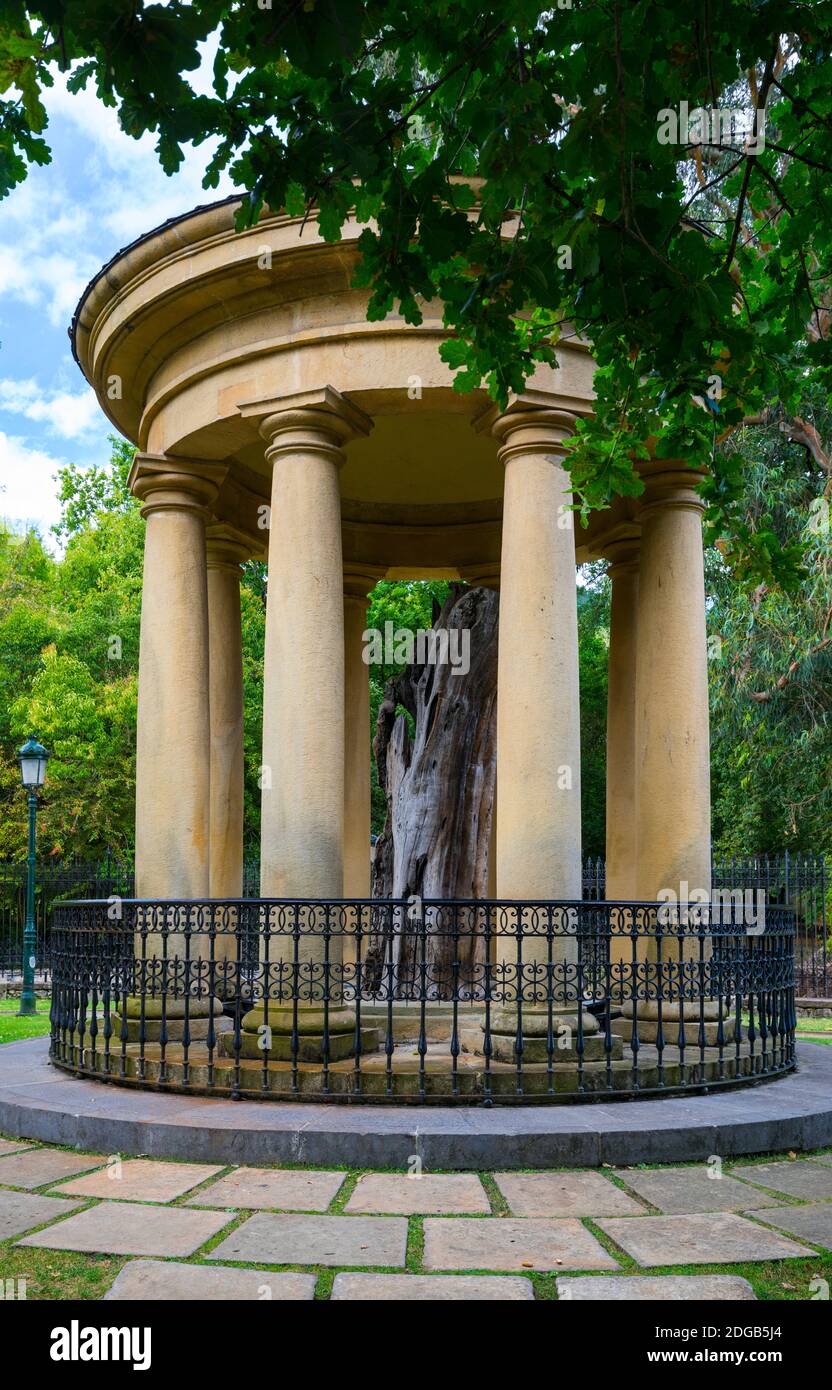 Le vieux arbre, Gernika, l'estuaire d'Urdaibai, la région naturelle et la Réserve de biosphère de Gascogne, pays Basque, Espagne, Europe Banque D'Images