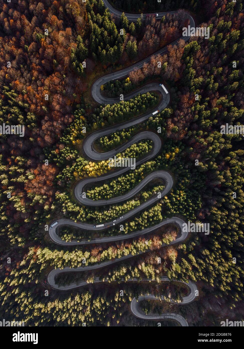 Route courbée à travers la forêt colorée d'automne passer à Chaia, Transylvanie Roumanie, vue aérienne de drone Banque D'Images