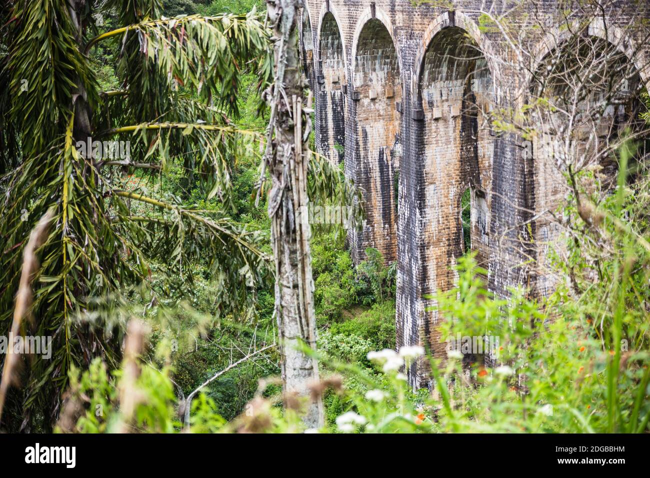Pont de neuf arches - Sri Lanka Banque D'Images