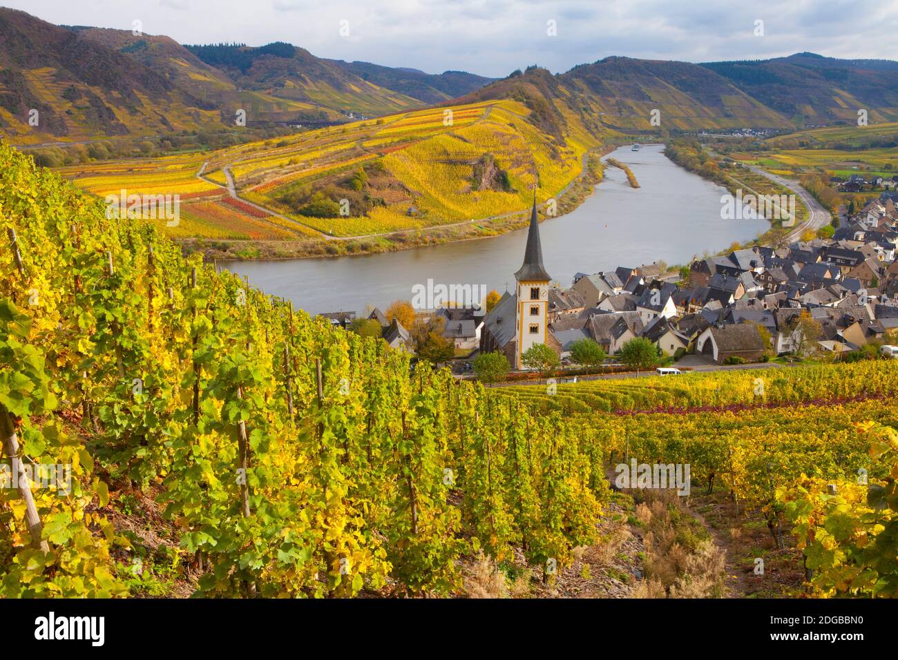 Vue panoramique sur les vignobles avec ville le long de la rivière, Bremmm, Mosel River, Calmont, Rhénanie-Palatinat, Allemagne Banque D'Images