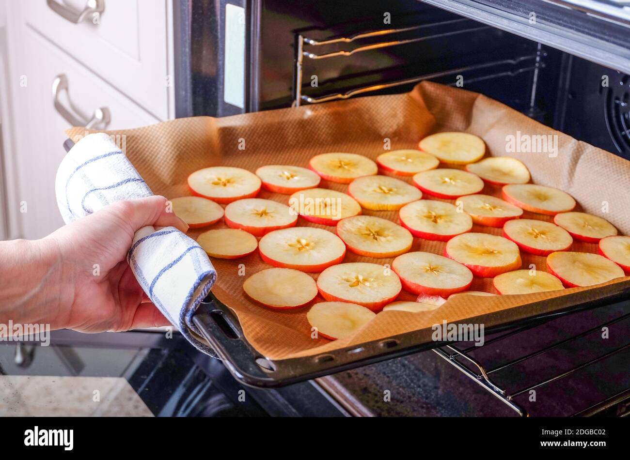 Une femme au foyer met une plaque de cuisson de pommes tranchées dans un four électrique pour sécher. Fruits secs, aliments sains. Orientation horizontale, foc sélectif Banque D'Images