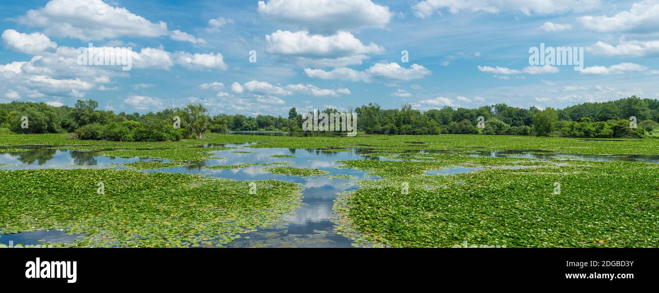 Nuages au-dessus de South Park Lake, South Park, Buffalo, comté d'Erie, État de New York, États-Unis Banque D'Images