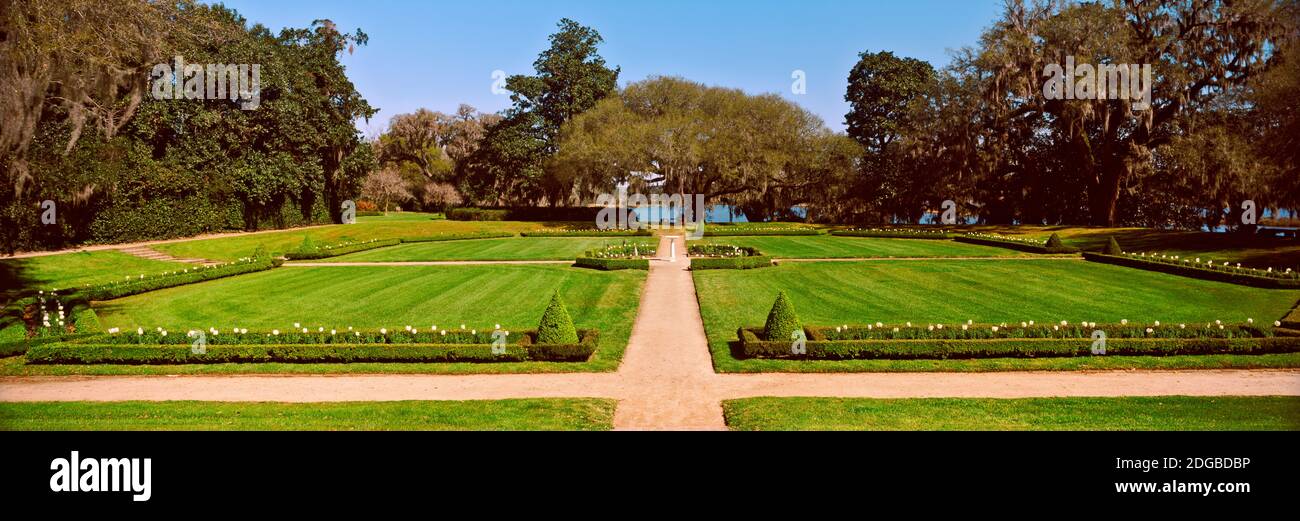 Arbres dans un jardin, Middleton place, Charleston, Caroline du Sud, États-Unis Banque D'Images