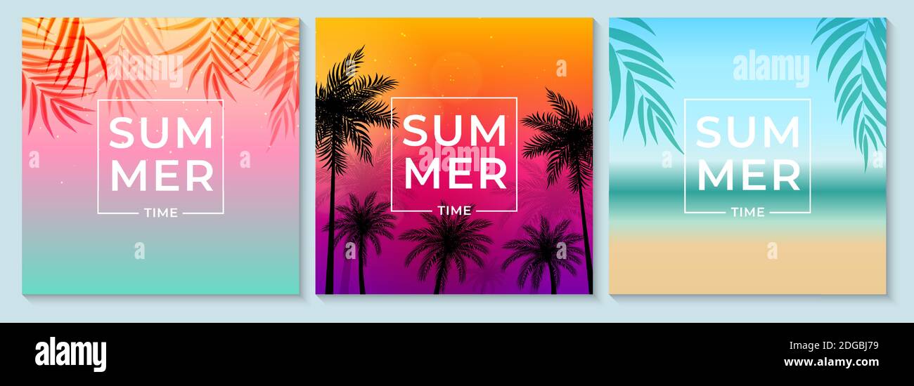 Arrière-plan abstrait d'été avec feuilles de palmier, plage et bord de mer. Design tendance à la vente, médias sociaux, Web. Illustration vectorielle Illustration de Vecteur