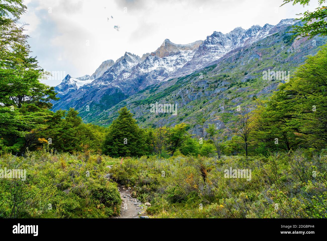 Magnifique paysage naturel au parc national Torres del Paine à Patagonie du sud du Chili Banque D'Images