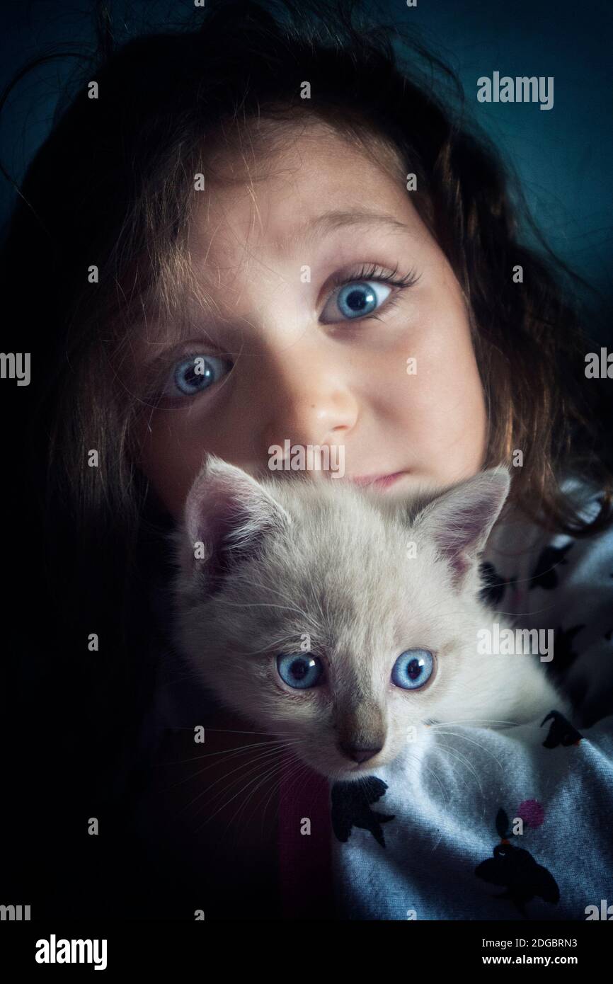 Yeux De Chat Piercing Banque D Image Et Photos Alamy