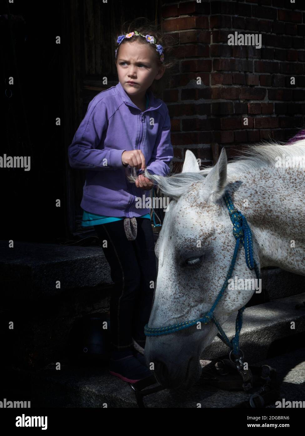 Fille tressant la frange d'un cheval Banque D'Images