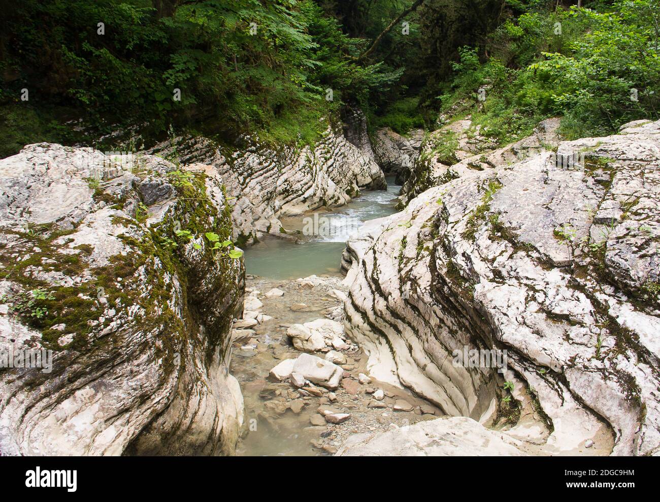 Ruisseau propre rivière de montagne parmi les rochers couverts de mousse Banque D'Images