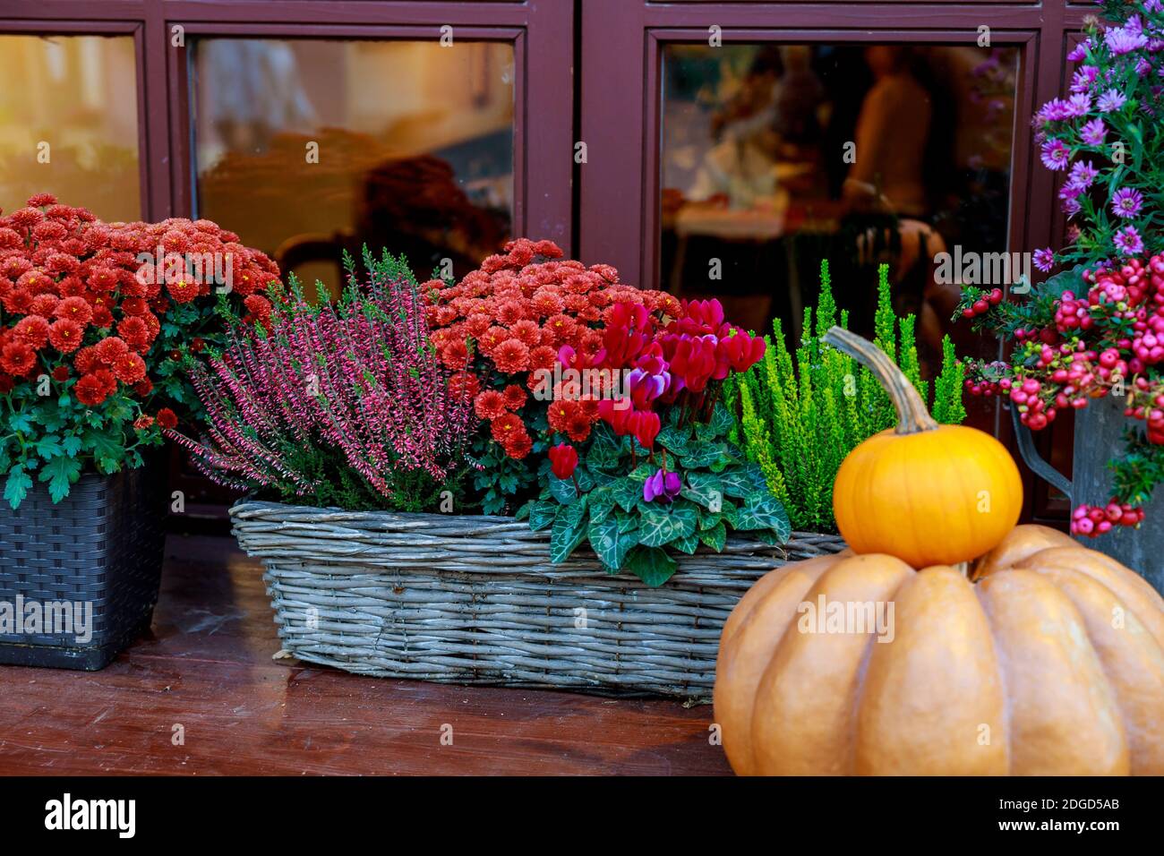 Décoration d'automne. Citrouille et fleurs en paniers. Banque D'Images Décoration d'automne. Citrouille et fleurs en paniers. Banque D'Images