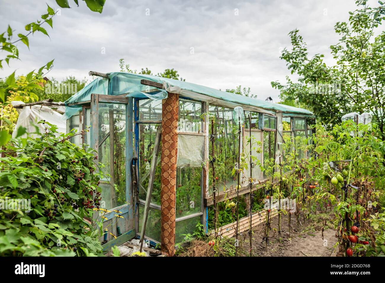 Construction d'une serre dans le jardin à partir de matériaux de rebut Banque D'Images