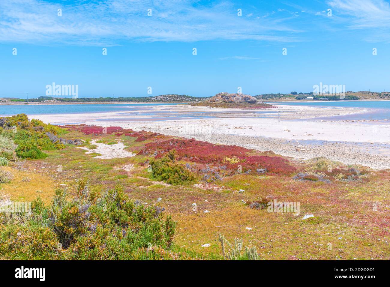 Lacs salins de l'île de Rottnest en Australie Banque D'Images