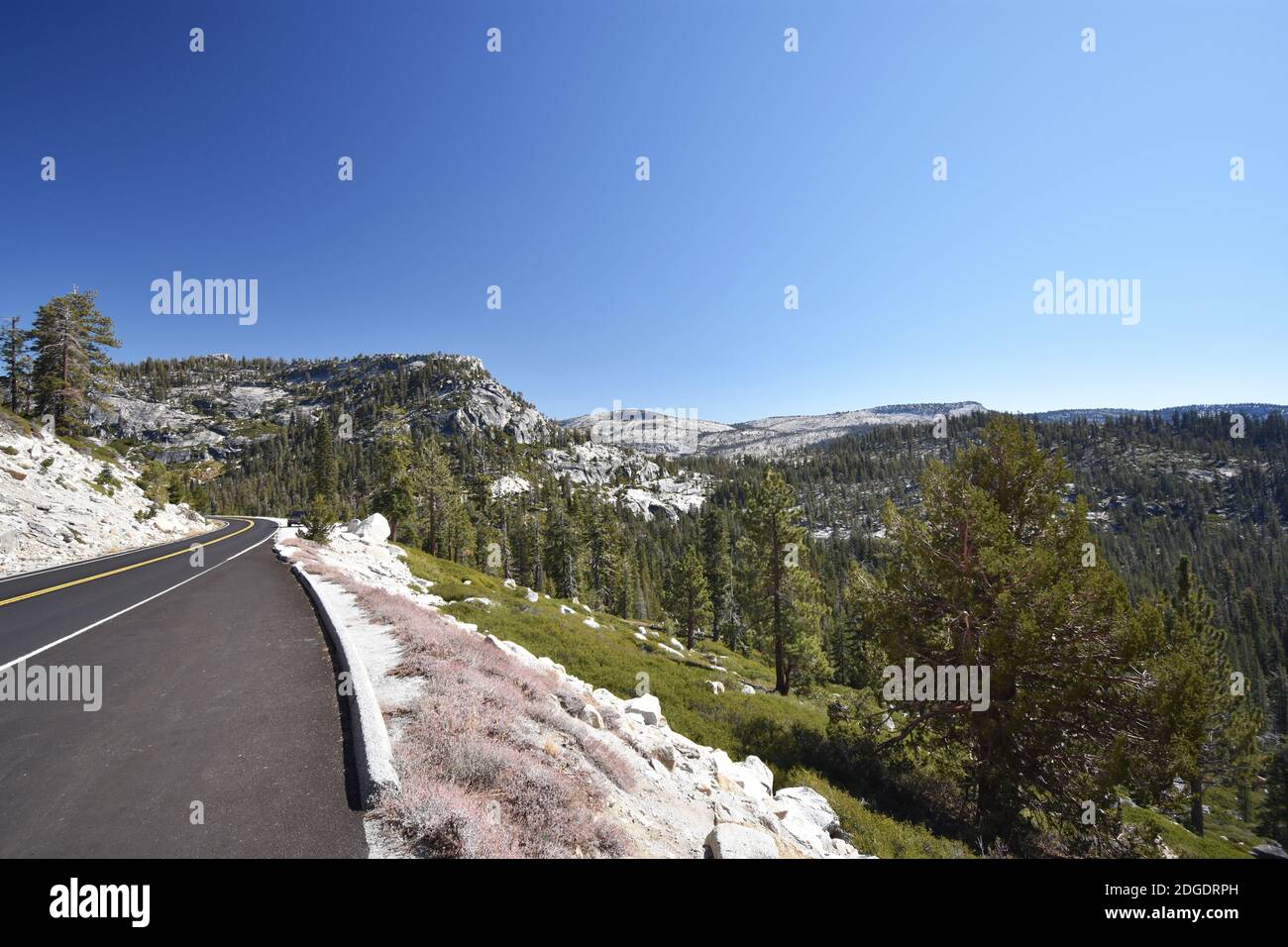 Tioga Pass Road traversant la chaîne de montagnes de la Sierra Nevada dans le parc national de Yosemite, en Californie. Ciel bleu clair, falaises de granit et arbres alpins. Banque D'Images