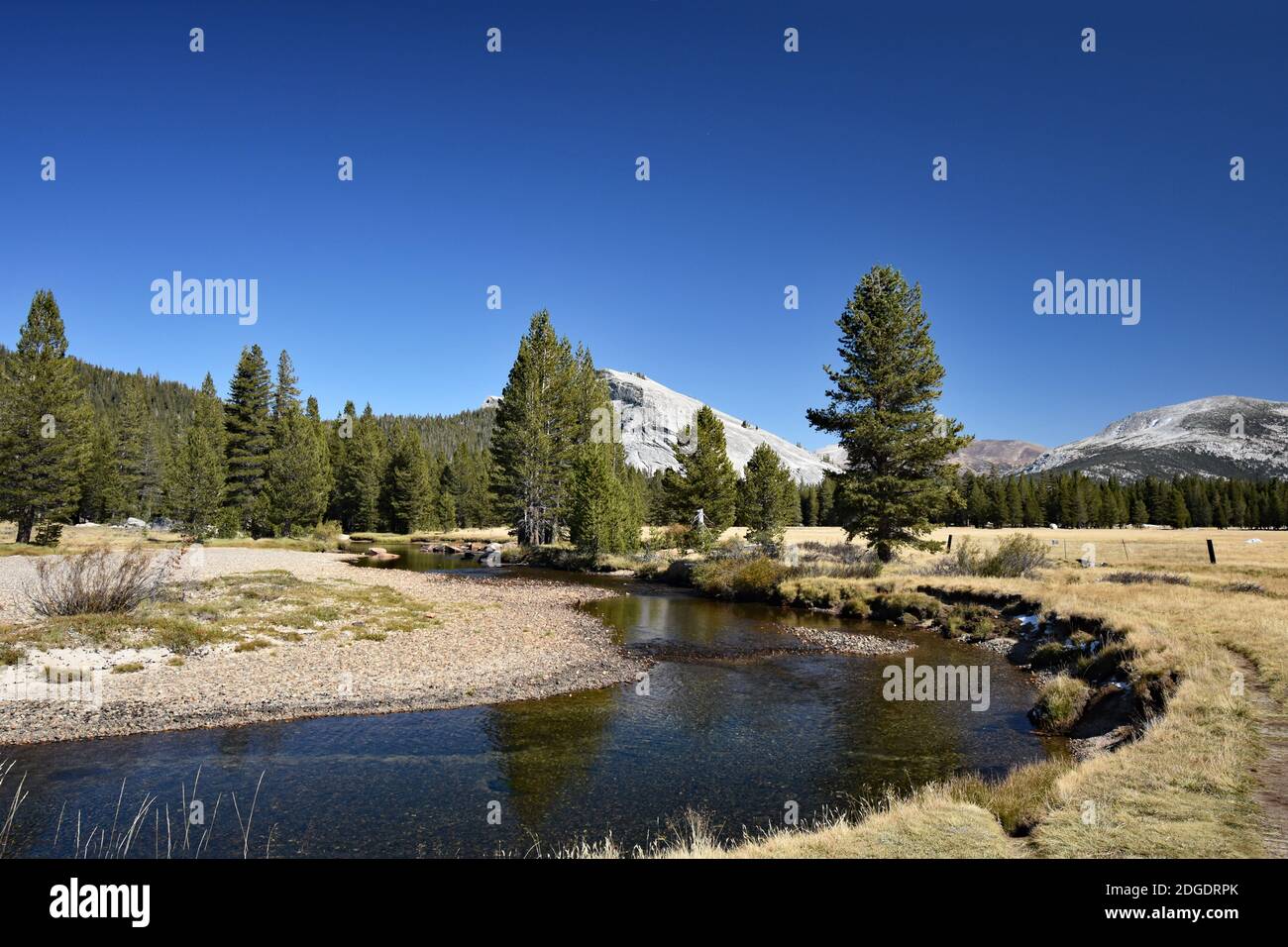 Vue sur Tuolumne Meadows en automne / automne avec Lembert Dome et la rivière Tuolumne entourée d'herbe jaune. Parc national de Yosemite, Californie. Banque D'Images