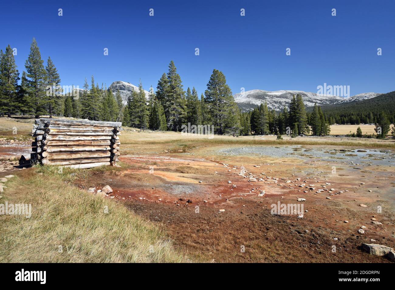 Soda Springs à Tuolumne Meadows, parc national de Yosemite, États-Unis. Le Lembert Dome est visible derrière la ligne de l'arbre. Les minéraux ont causé les couleurs. Banque D'Images
