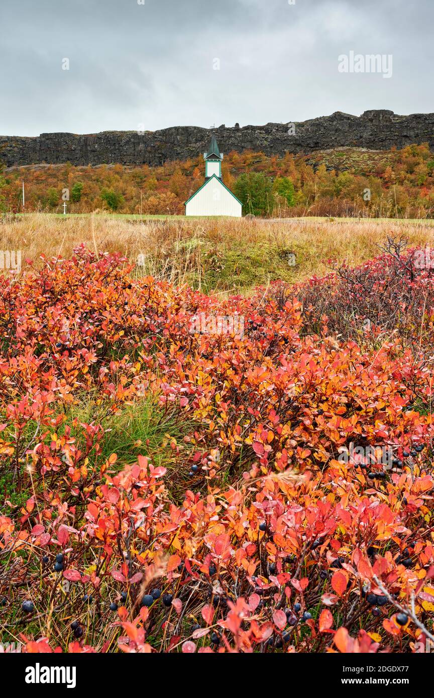 Paysage de vallée vallonnée avec des plantes d'automne colorées et solitaire Maison en Islande Banque D'Images