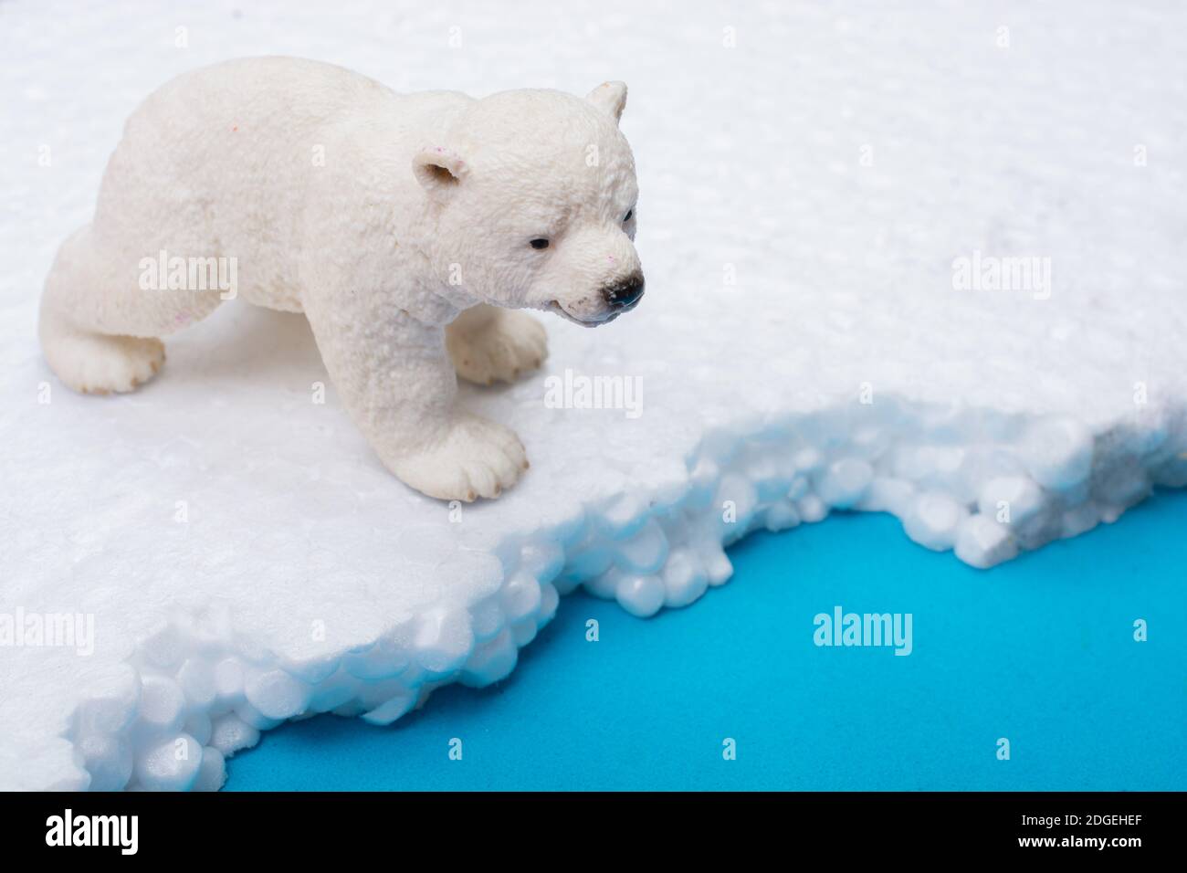 Faux CUB ours polaire sur fond de neige et de mer environnement Banque D'Images