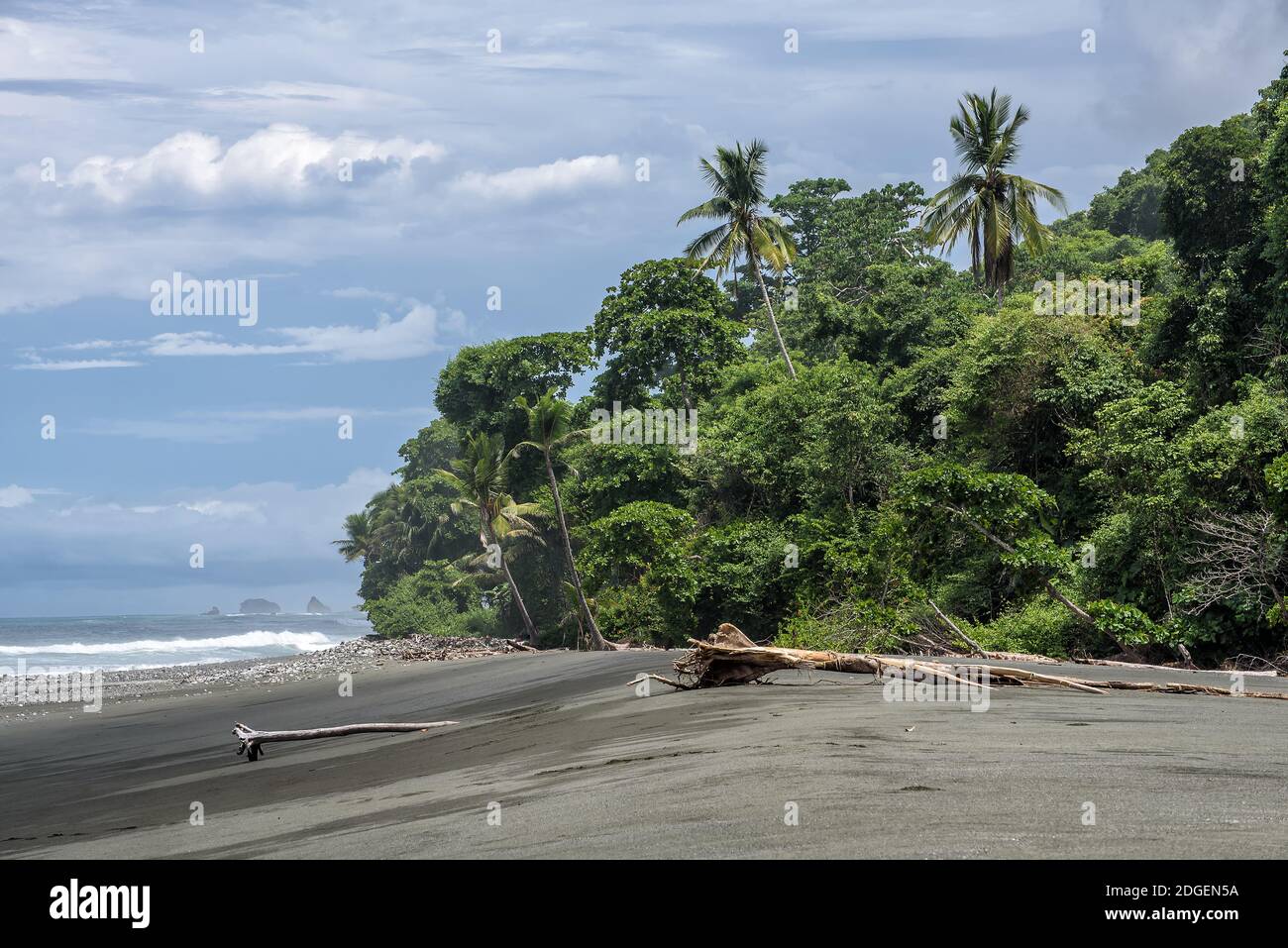 Plage avec palmiers dans le parc national du Corcovado Banque D'Images