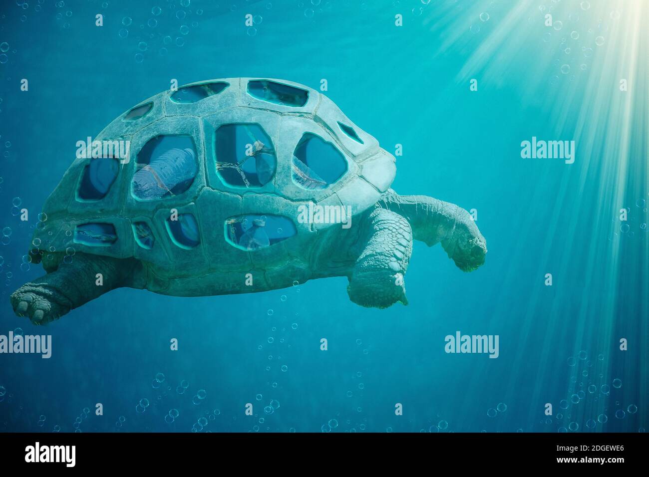 Message environnemental, photomanipulation d'une tortue transportant des bouteilles en plastique dans sa coquille. Banque D'Images