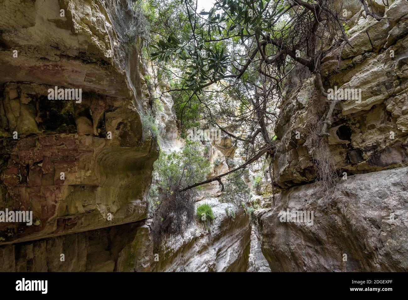 Canyon d'Avagas à Chypre Banque D'Images