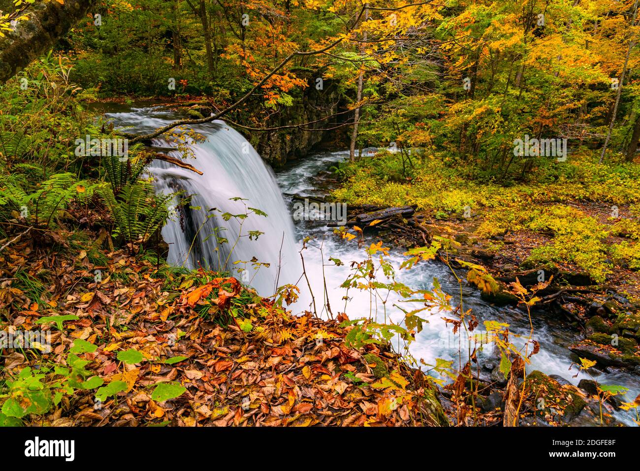 Vue sur la chute d'eau de Choshi Otaki dans le ruisseau Oirase Mountain Banque D'Images