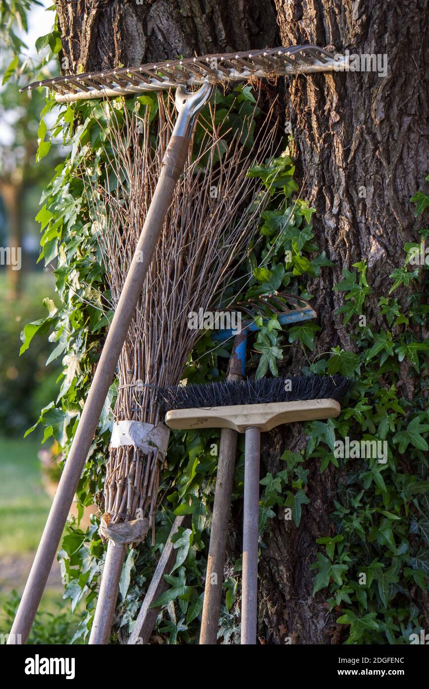 Équipement de jardin sur un arbre Banque D'Images