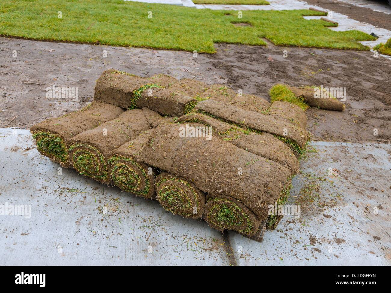 Gazon vert frais en rouleaux pour pelouse et designer paysage en rouleau sur palettes Banque D'Images