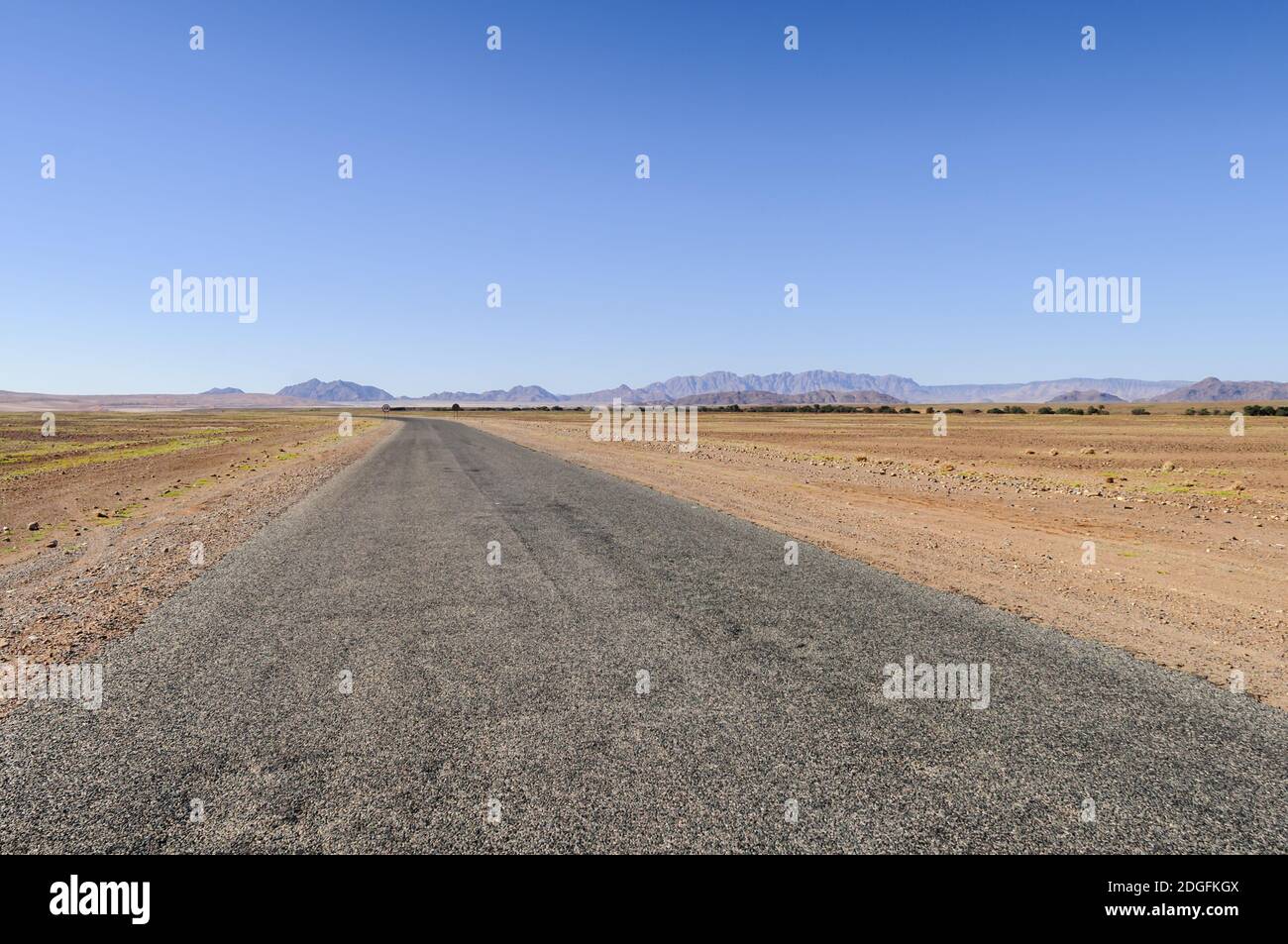 Route droite dans le désert du Namib à l'horizon, la Namibie, l'Afrique. Banque D'Images