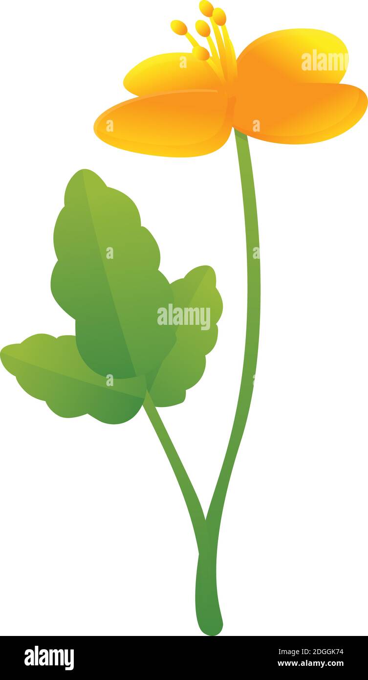 Celandine médecine fleur icône. Dessin animé de la médecine celandine fleur vecteur icône pour le web design isolé sur fond blanc Illustration de Vecteur