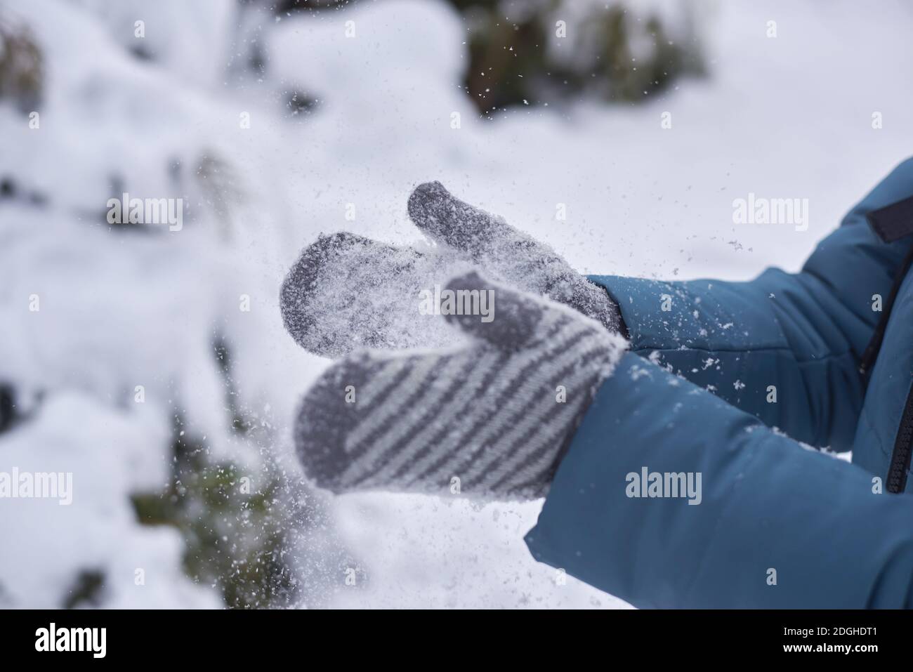 Une femme en moufles se claque les mains dans la neige, en hiver Photo  Stock - Alamy