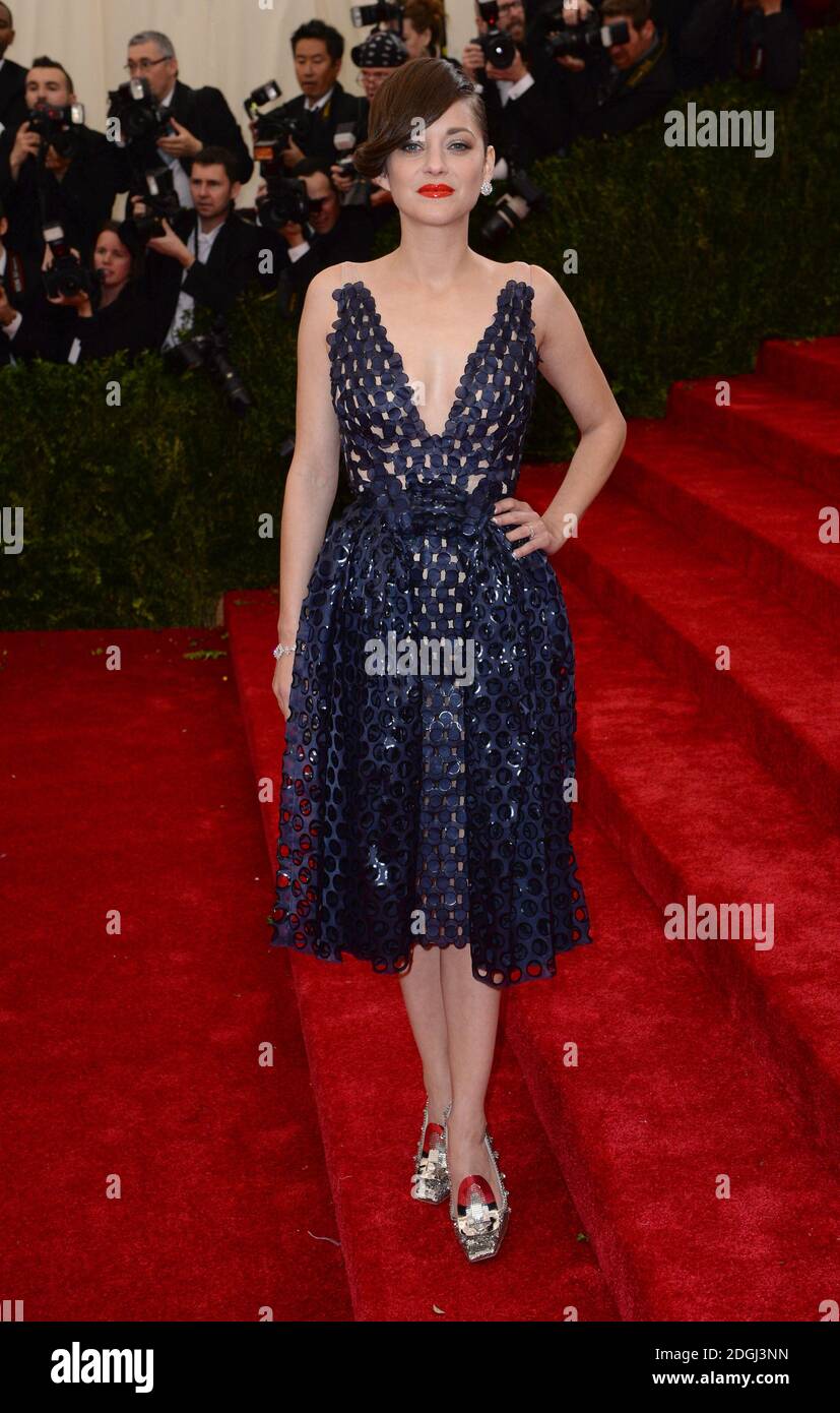 rencontre marion cotillard