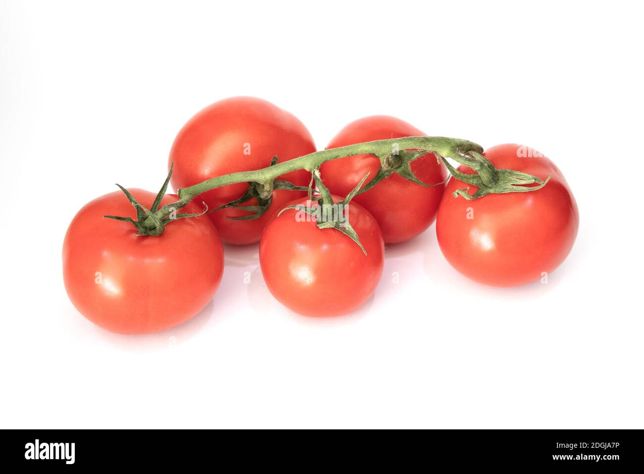 Une branche de tomates cerises rouges juteuses fraîches sur fond blanc. Banque D'Images