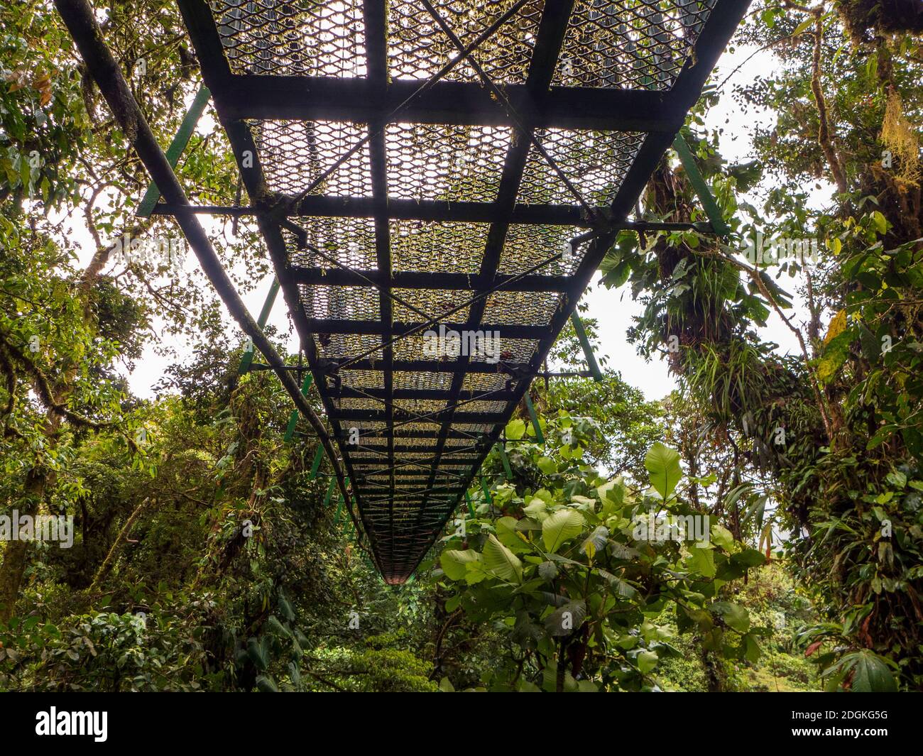 Pont suspendu en métal dans la forêt tropicale du Costa Rica vu d'en dessous. Avec une vue magnifique sur les arbres de la forêt tropicale. Banque D'Images